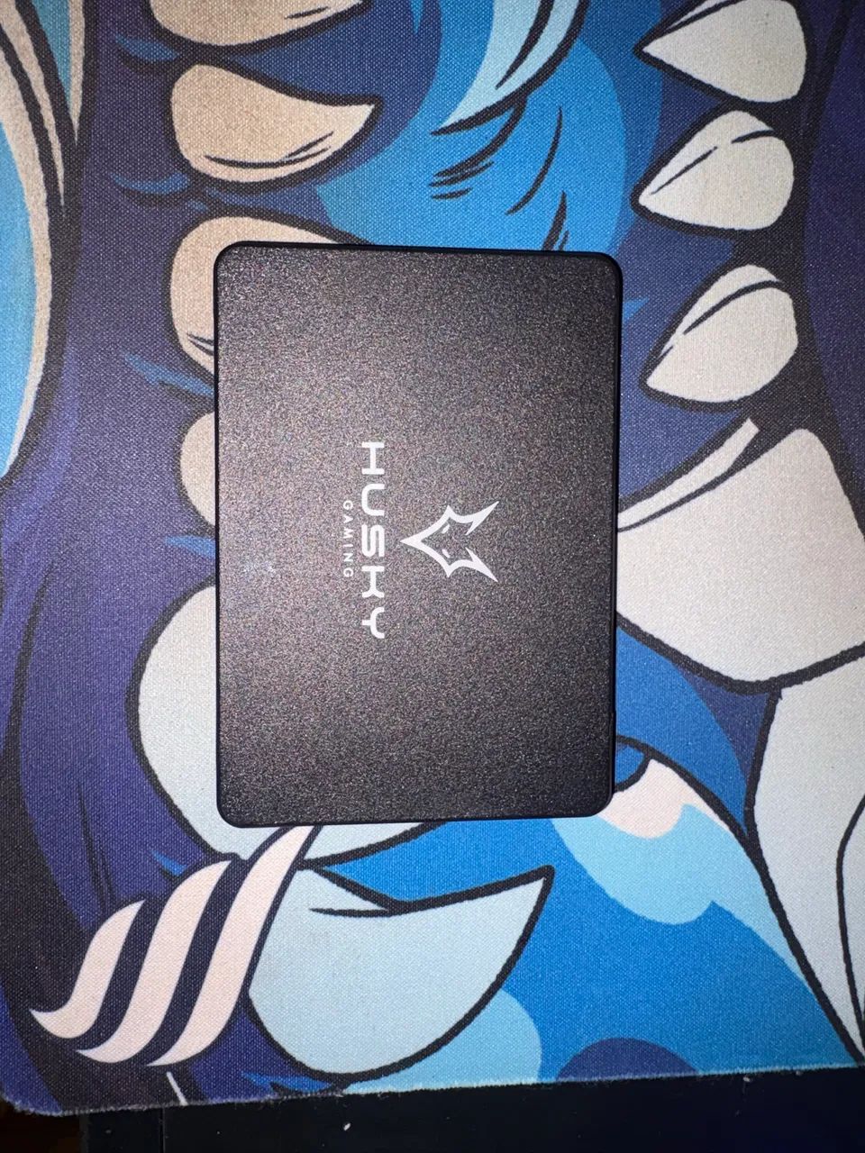 Ssd 128gb HUSKY - Foto 2