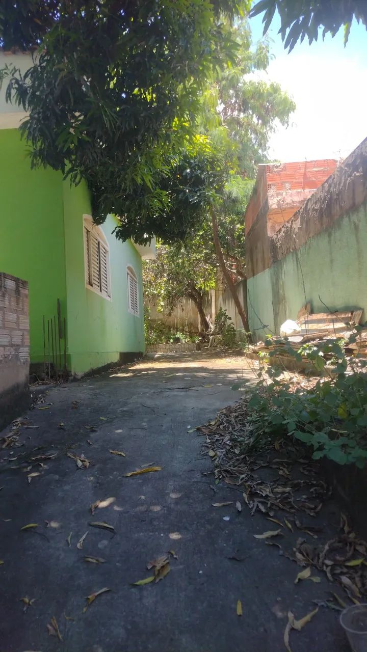 Foto - Montes Claros - Jardim Palmeiras