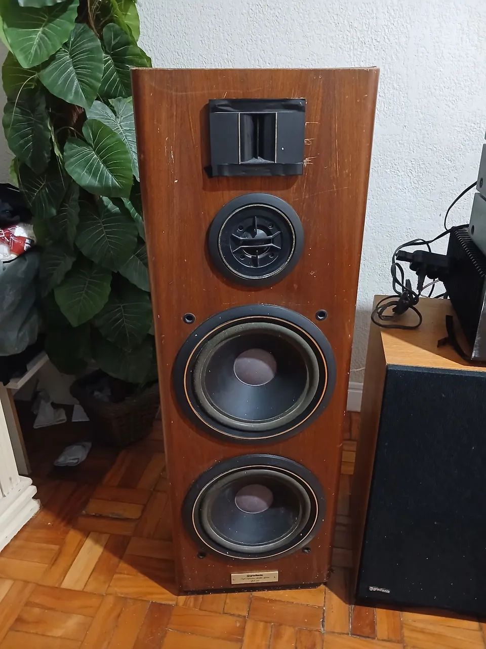 Par de caixas acústicas Gradiente SS 3.0