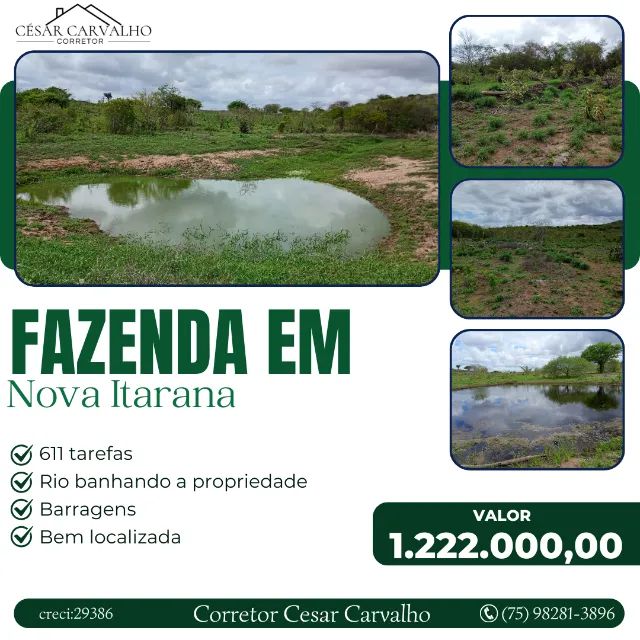 FAZENDA EM NOVA ITARANA - 611 TAREFAS