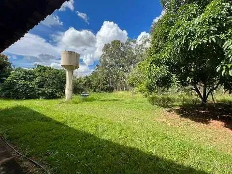 Chacara 6,5 hecatres em Rochedinho - Foto 4