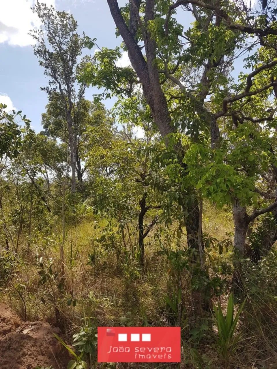 Fazenda para Venda em Rio Sono - Foto 4