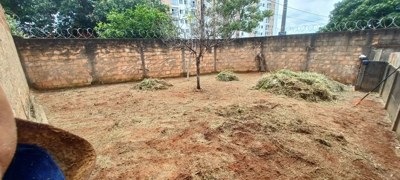 Jardinagem & Roçagem  - Foto 2