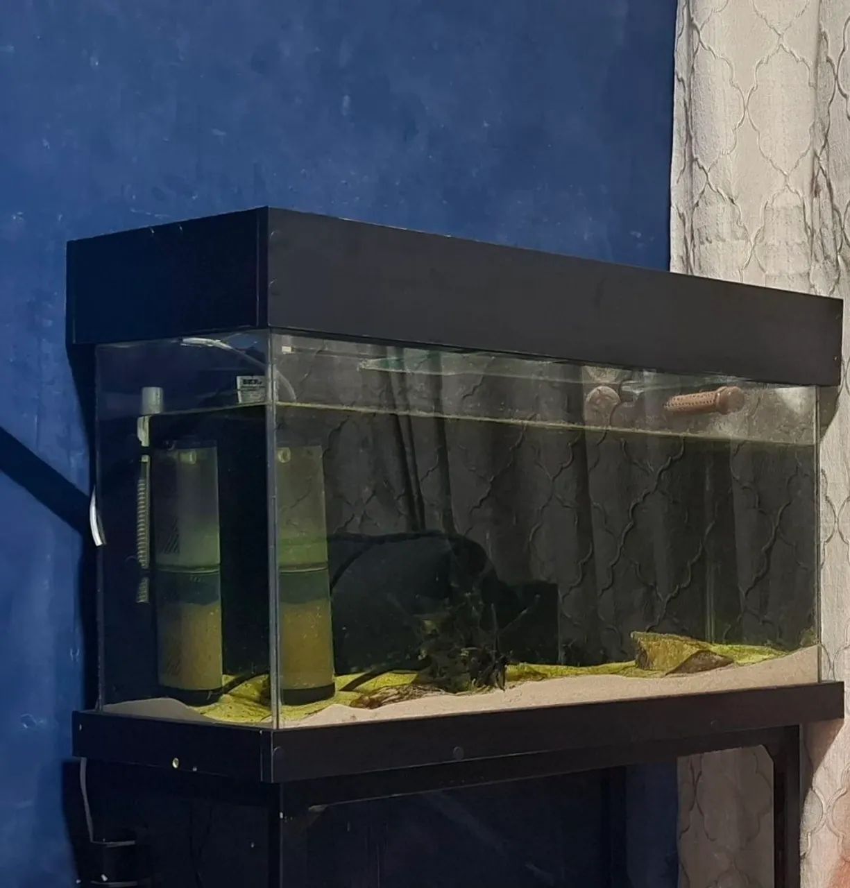 Aquário 