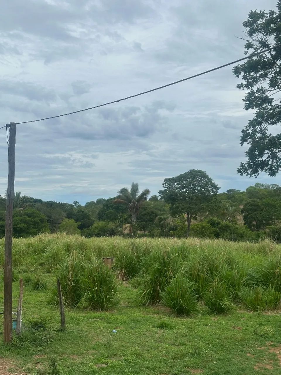 Fazenda na região sul do Tocantins 254 alqueires - Foto 3