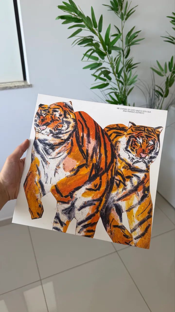 Disco de vinil LP Ana Frango Elétrico - Me Chama de Gato - Noize + revista
