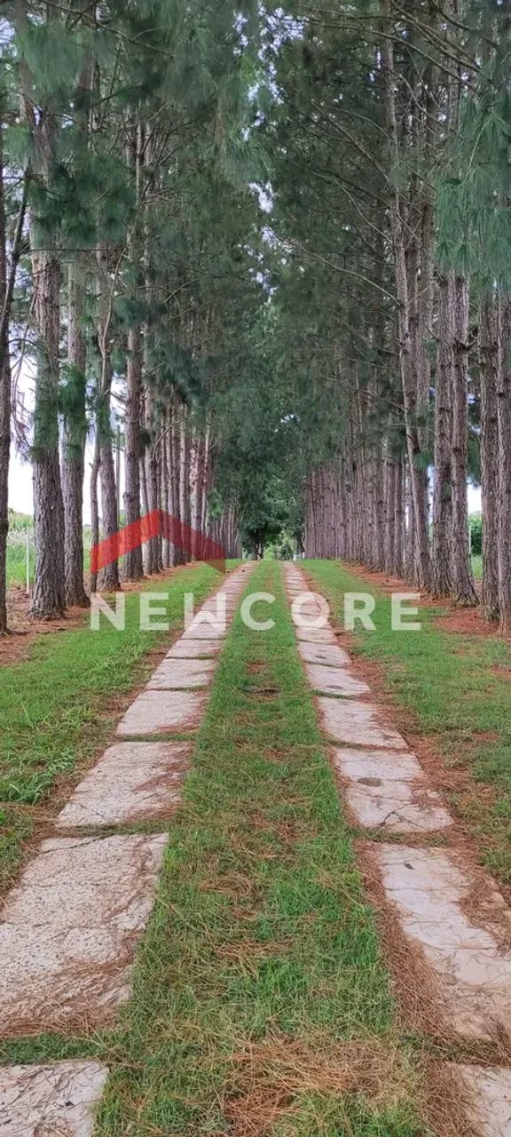 Sítio em Rua Silva Jardim - Centro - Itapetininga/SP - Foto 5
