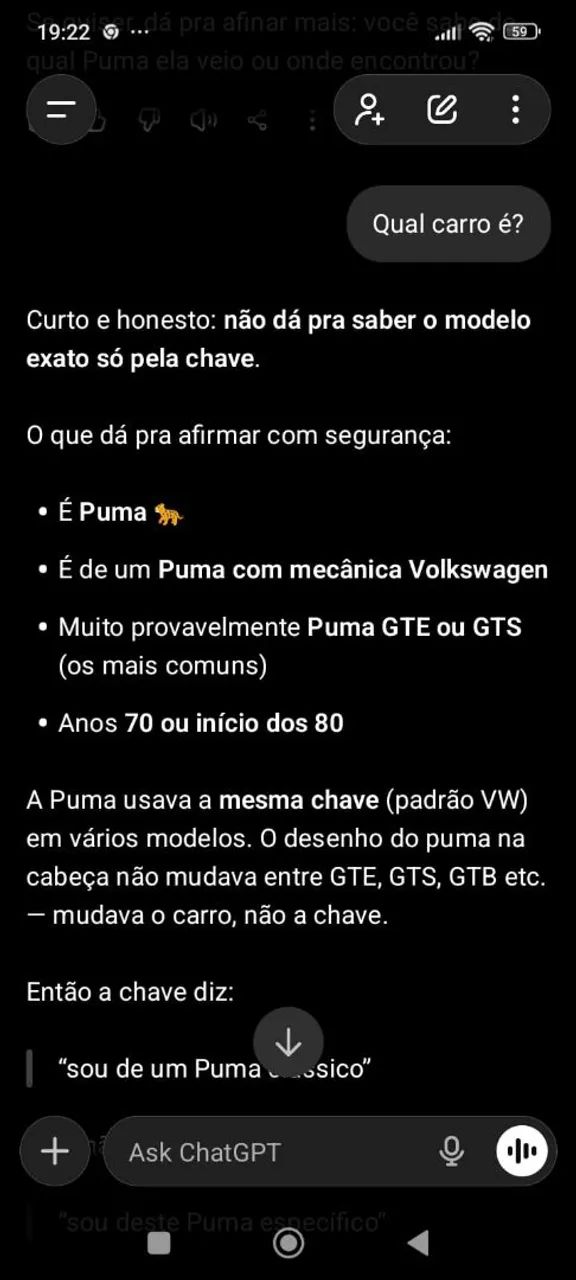 Chave Virgem de Puma  - Foto 4