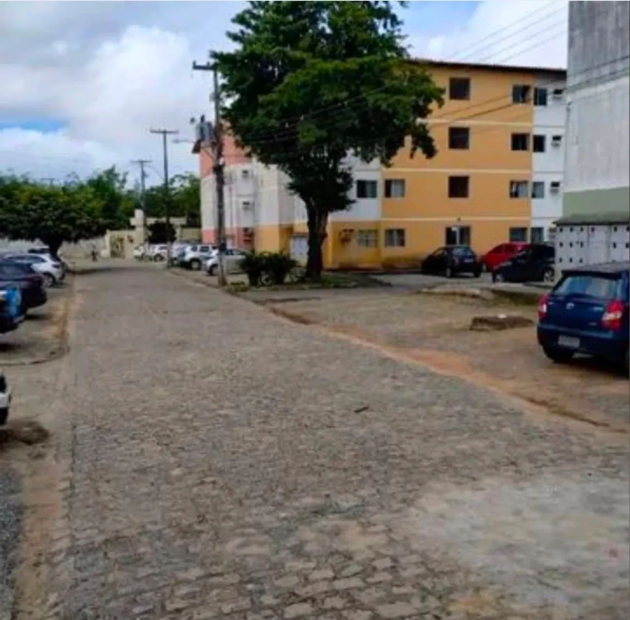Apt 1 andar nascente -R. José Bernardes | Serraria - Foto 3