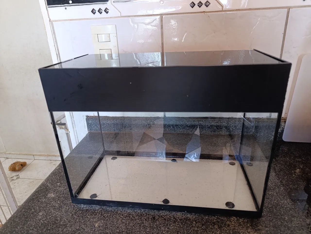 Aquário 20L - Foto 2