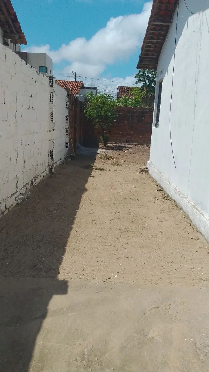 Limpezas de terrenos   - Foto 5