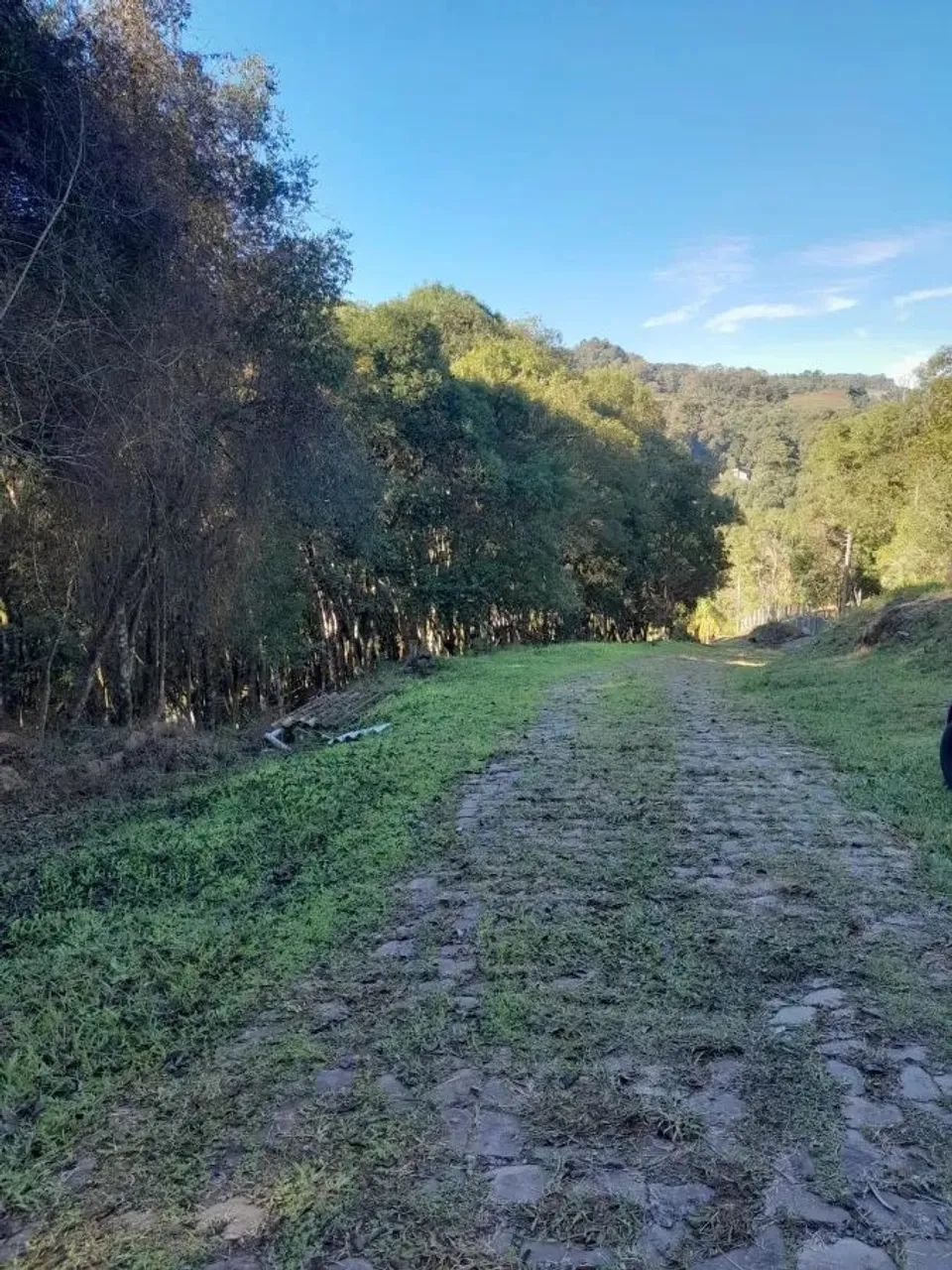 CAXIAS DO SUL - Terreno Padrão - MONTE BÉRICO - Foto 5