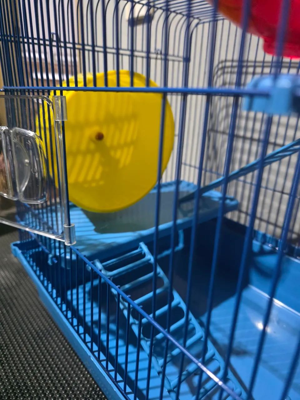 Gaiola Hamster  - Foto 3