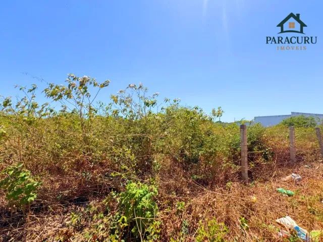 Vendo terreno com 805m² no Paracuru - Foto 3