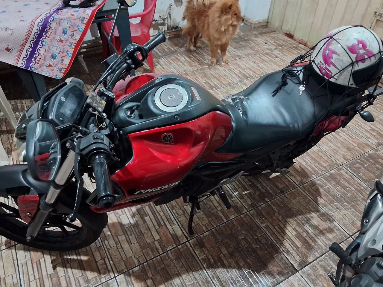 Fz15 - Foto 3
