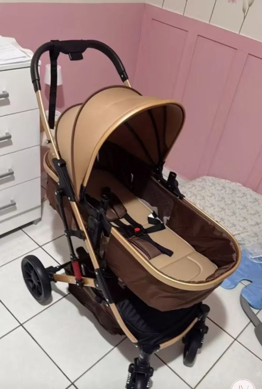 Vendo Carrinho Moisés 