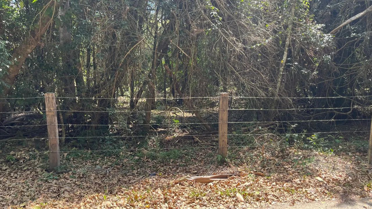 Terreno com rio - Foto 4