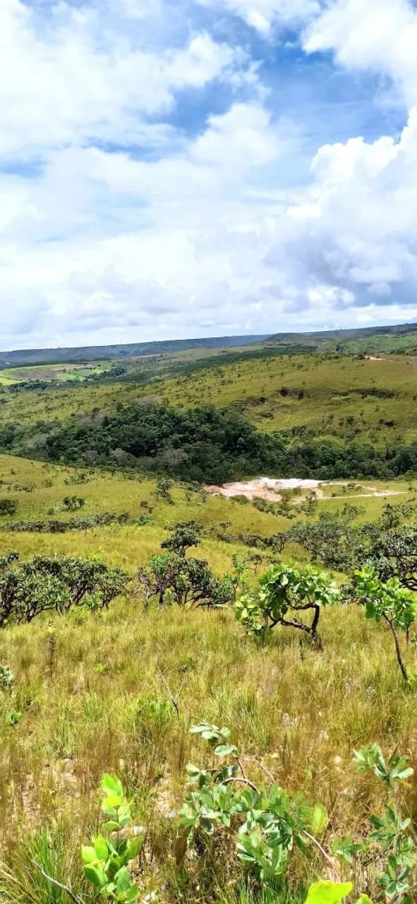 ? Chácara 5.000m² na Antinha de Cima  - Foto 3