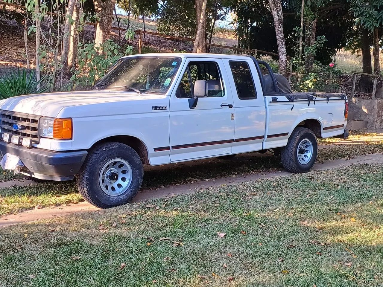 Ford F-1000 Super Diesel / Super Diesel Turbo 1994