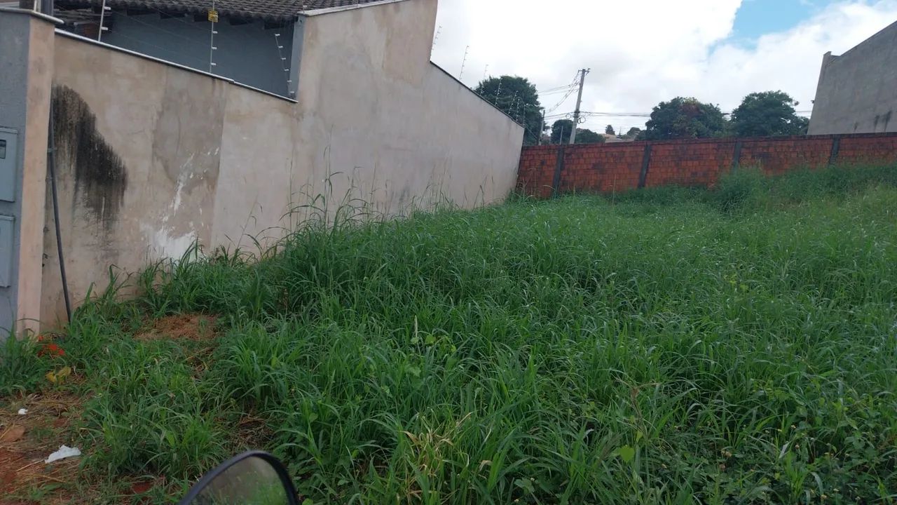 Terreno germinada  - Foto 3