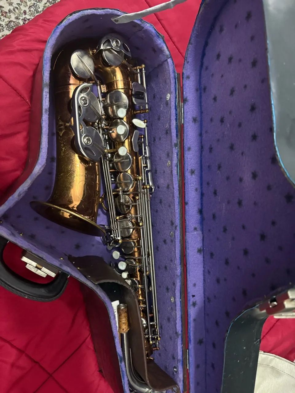 Sax alto dolphin 