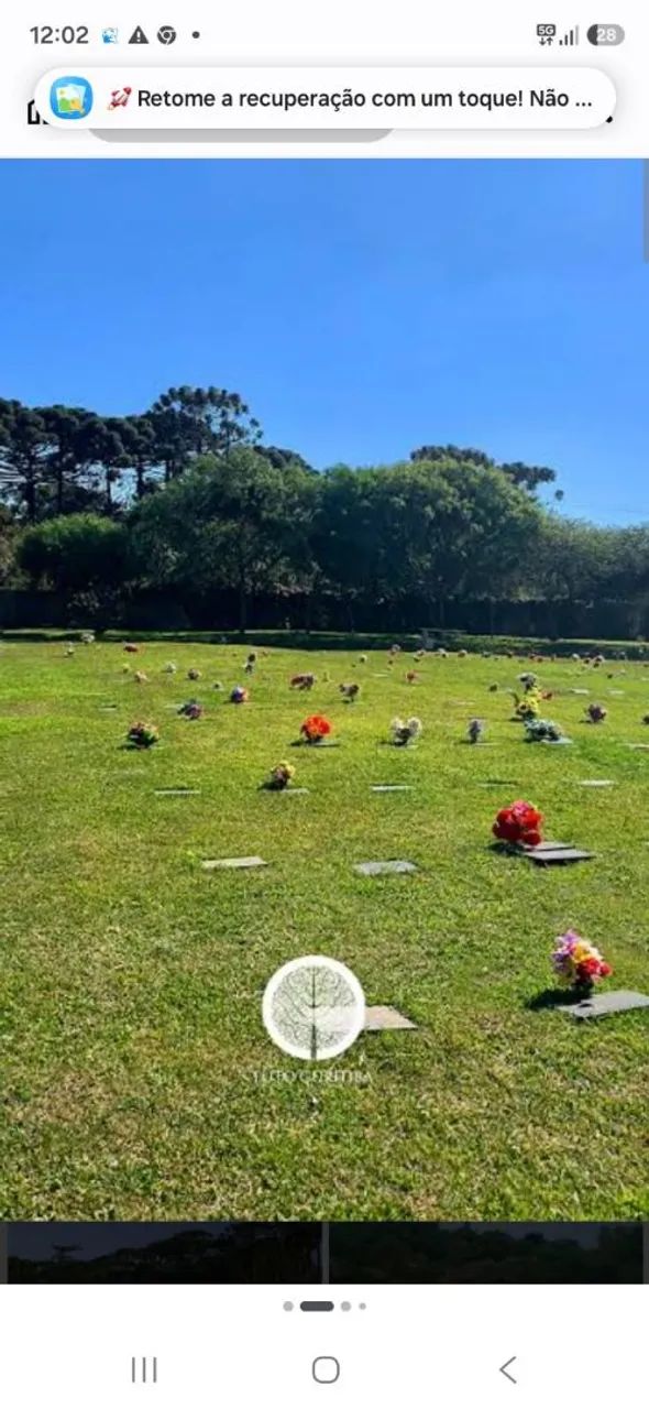 Terreno Cemitério Parque Memorial Graciosa 