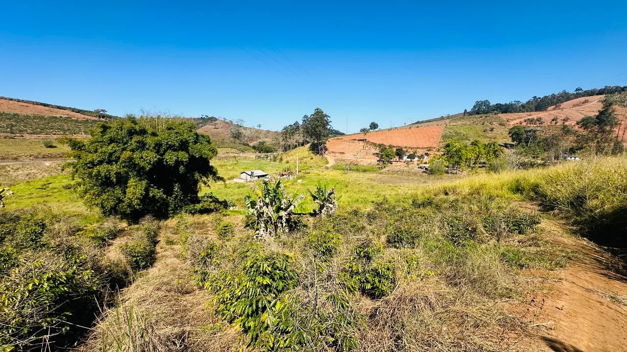 Terreno com 4 alqueiro - Foto 5