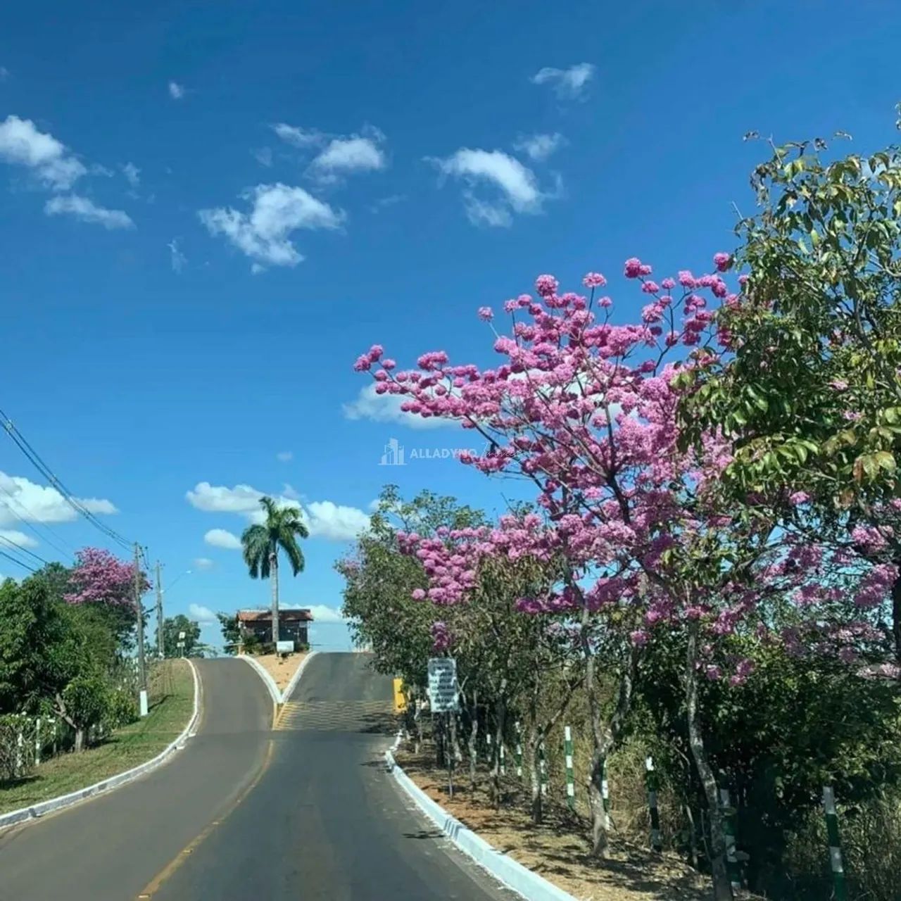 Terreno Solar da Serra Oportunidade - Foto 2