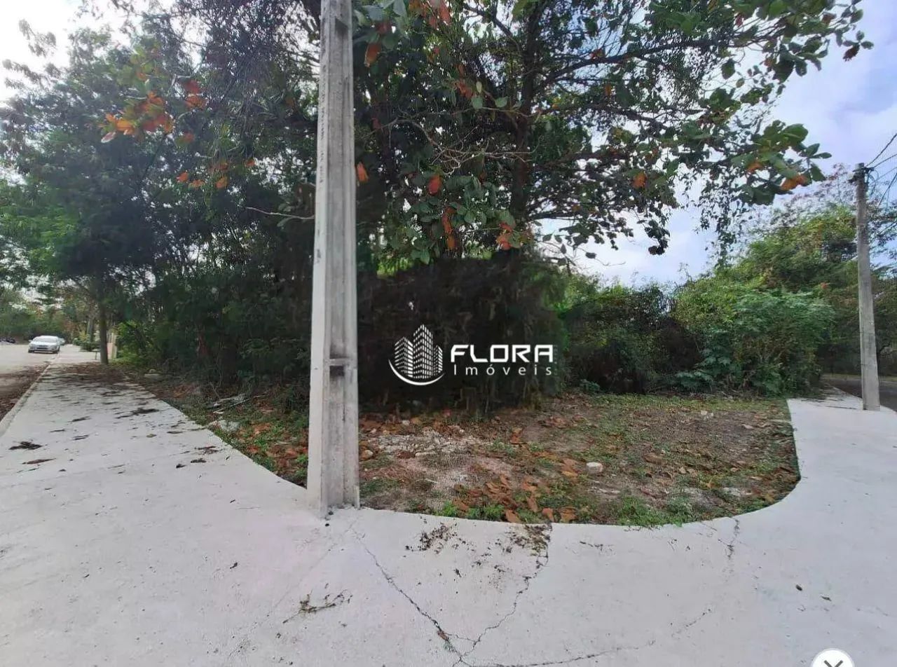 Excelente oportunidade de terreno - Foto 3