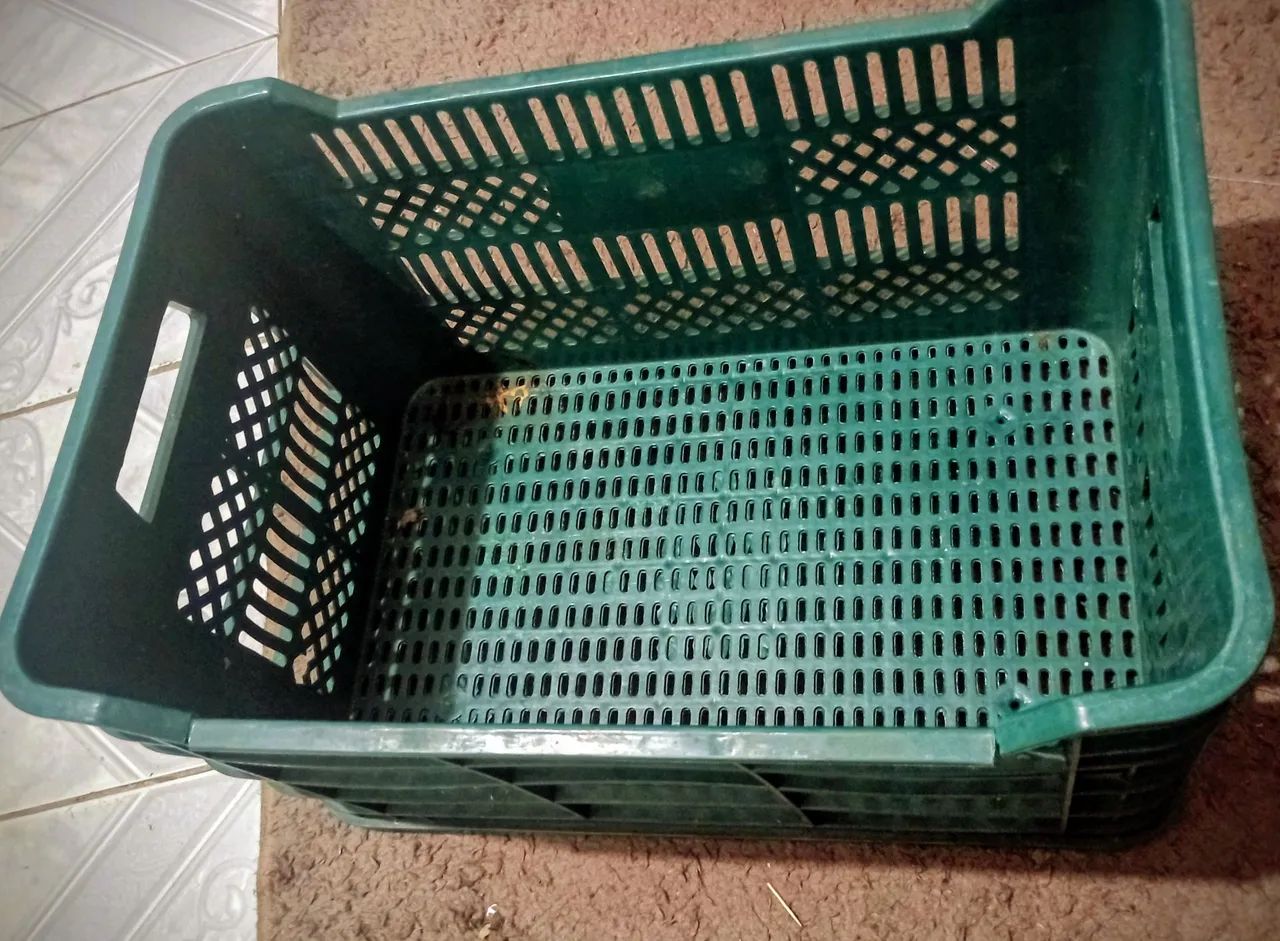 CAIXAS HORTIFRUTI E COMÉRCIO - Foto 5