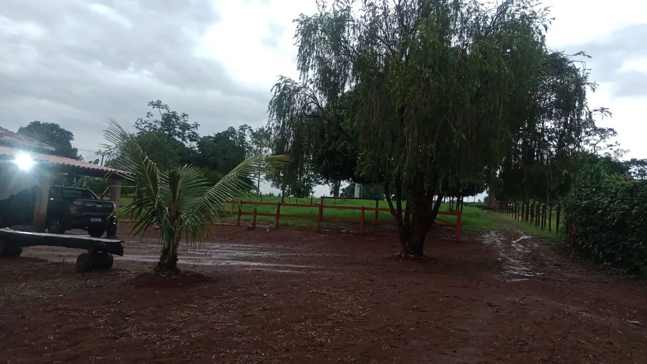 Foto - Franca - Jardim Paulo Archetti