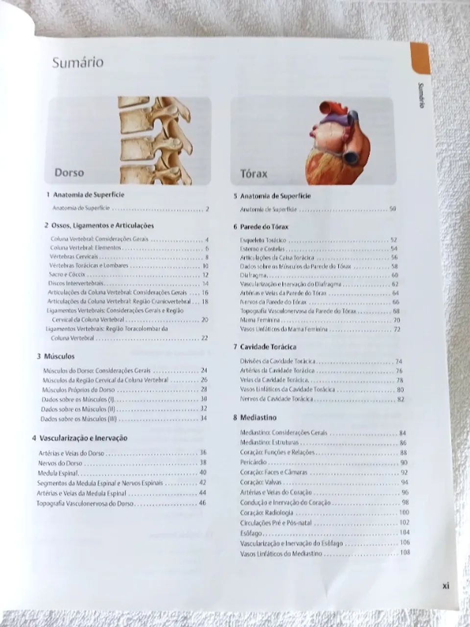 Livro Atlas de Anatomia - 2ª Edição - Foto 3
