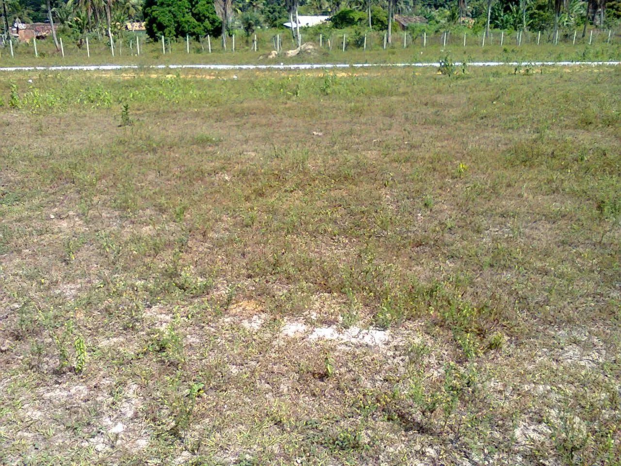Terreno em itapuranga - Foto 5