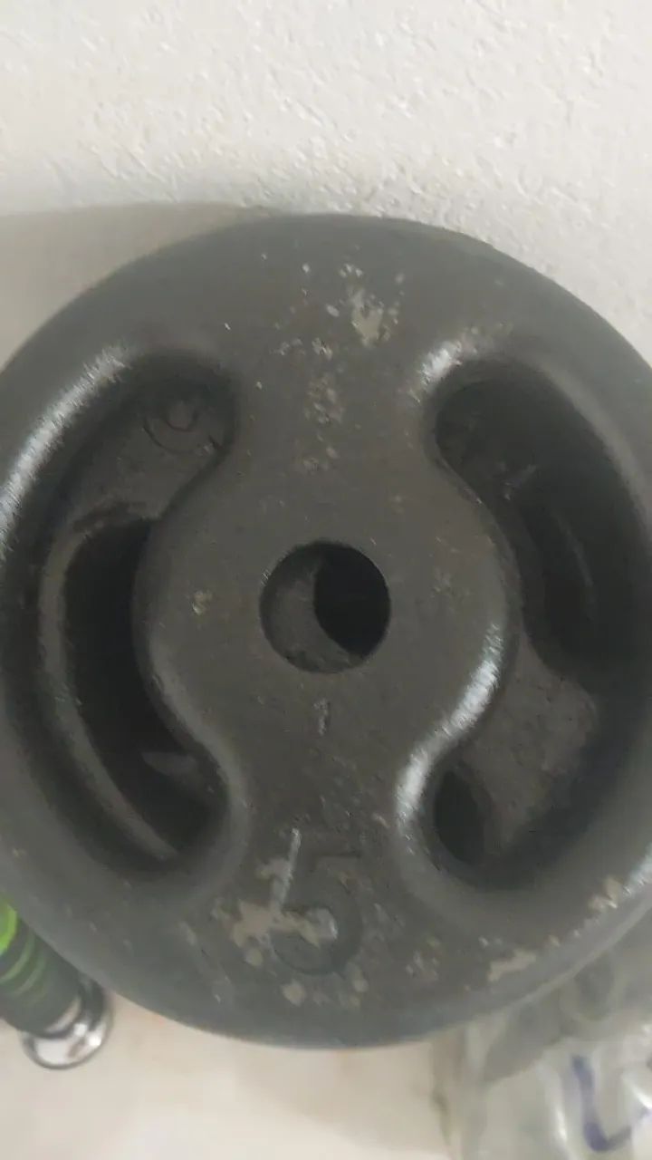 Anilha pintada 5kg