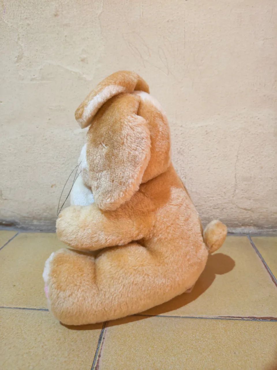 Urso Parmalat, Coelho  - Foto 2
