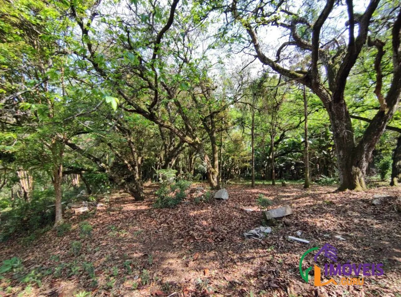 TERRENO - BIANUCCI - MG - Foto 2