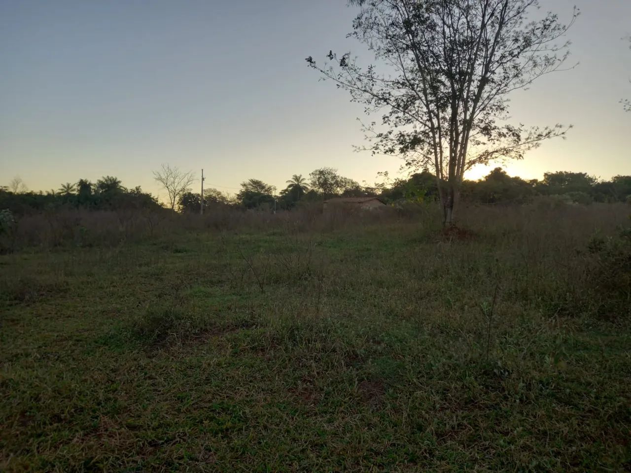 Sítio de 16,5 hectares com córrego  - Foto 3