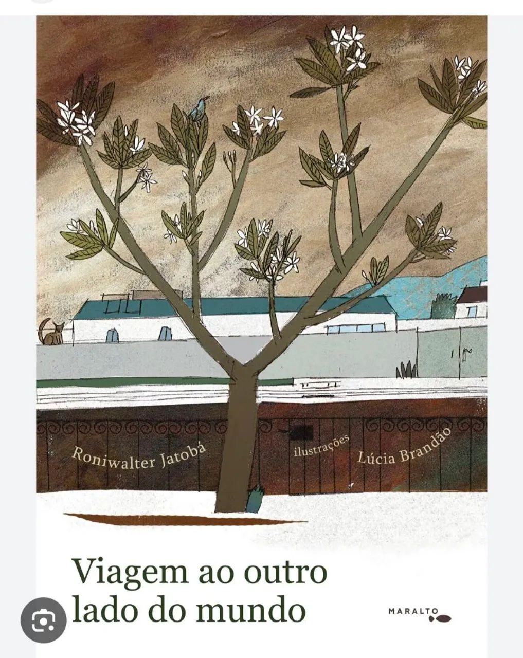 Livro Infantil 