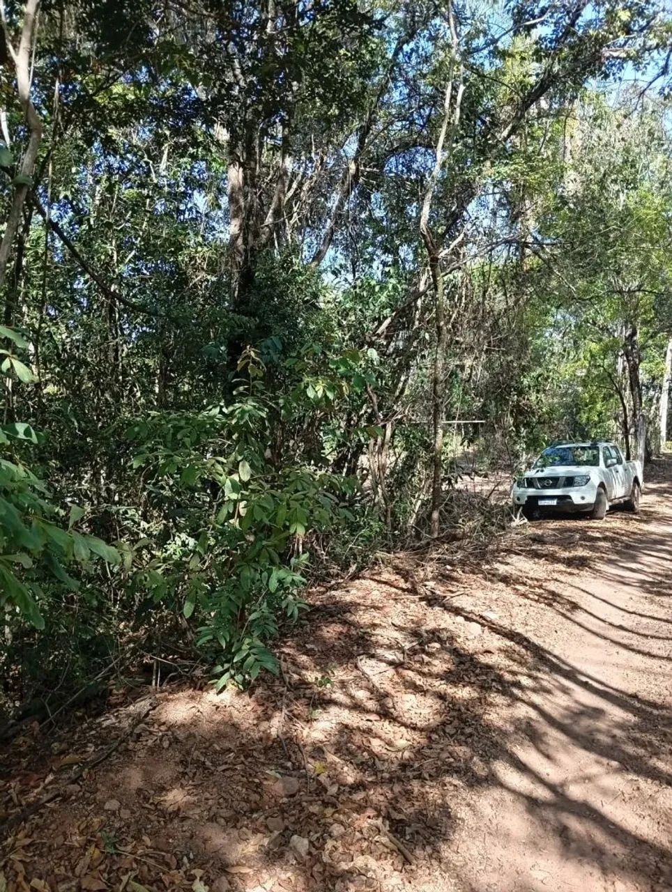 Vedo mais rápido possível 