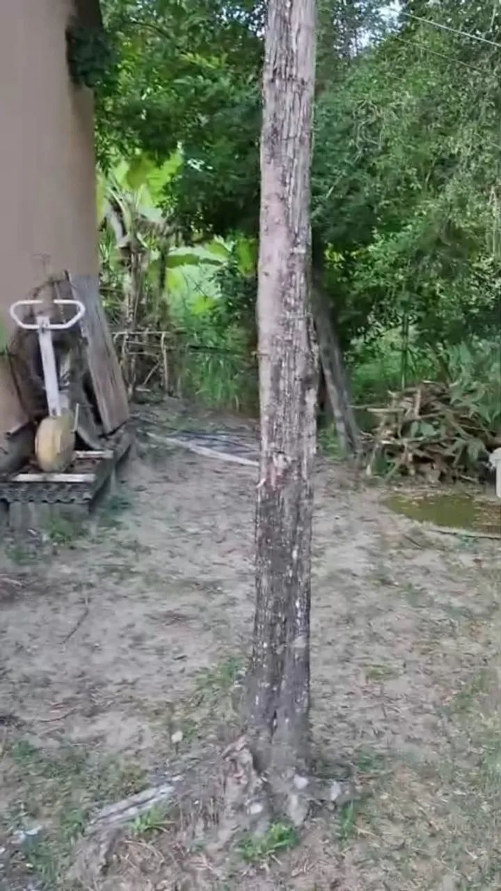 Serra Negra/Betim -  Chácara de 9.500m² - Foto 4