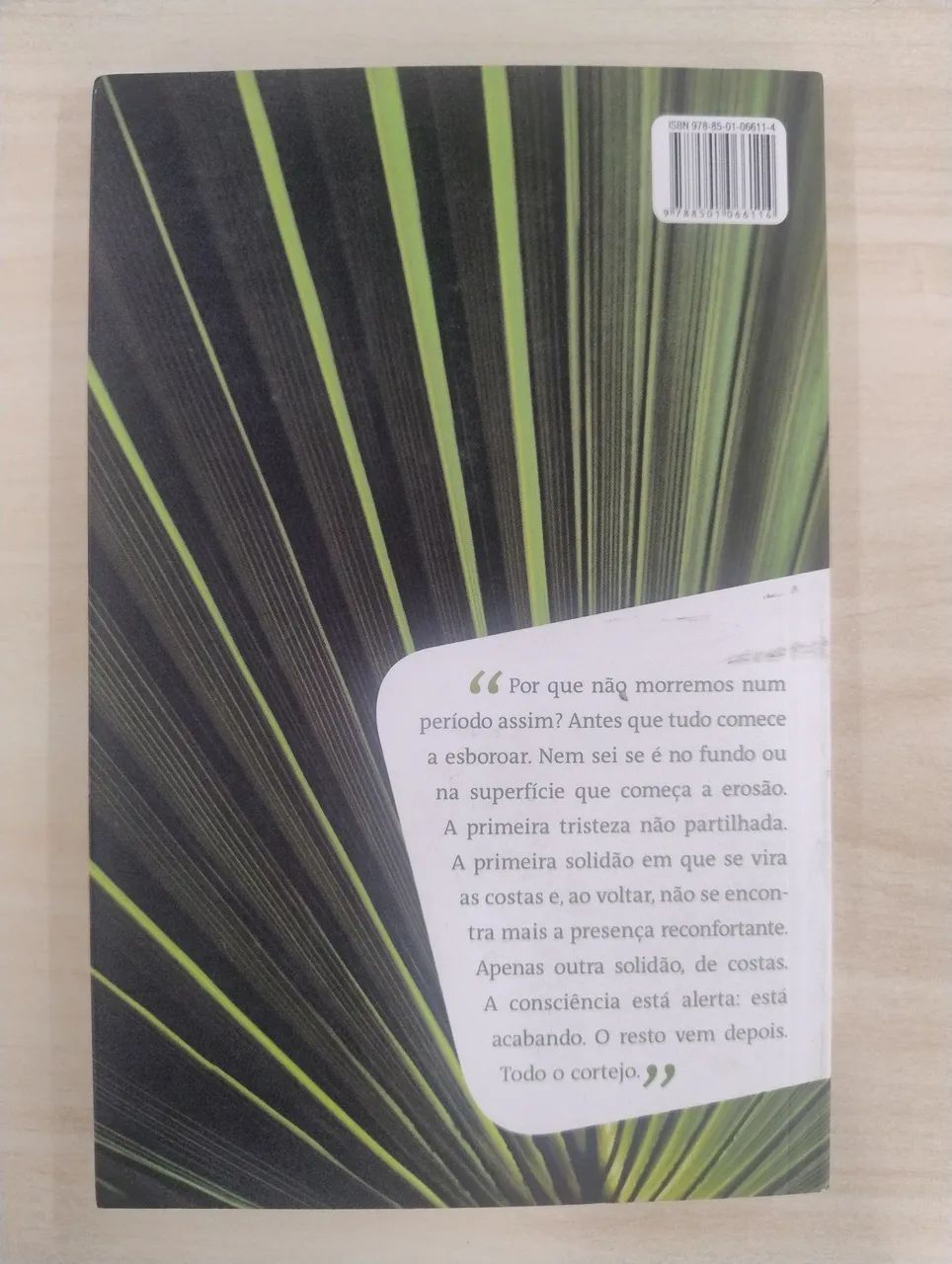 As parceiras - Lya Luft  - Foto 2