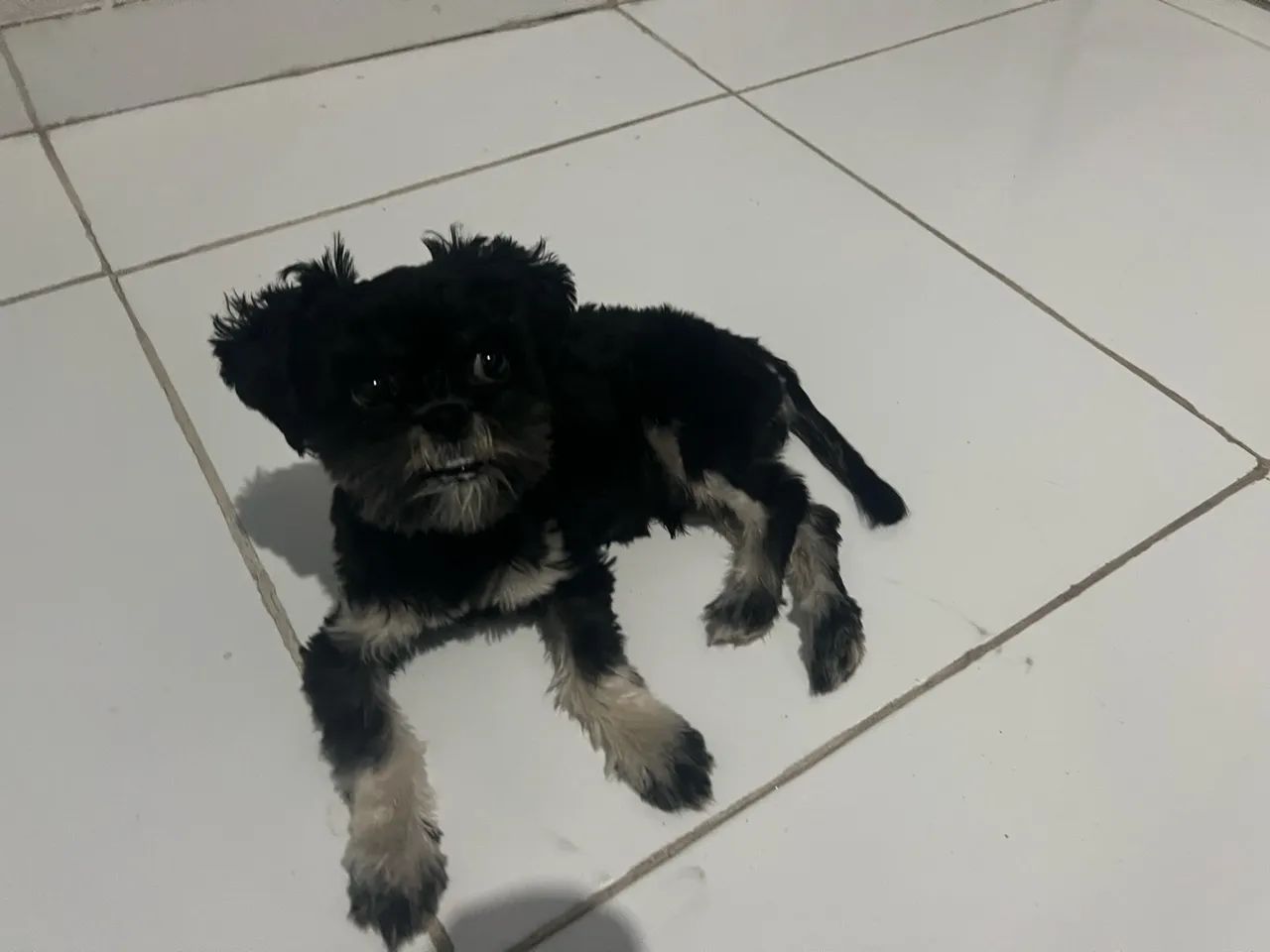 Vendo - Foto 2
