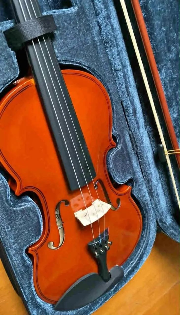 Violino Vivace Mozart 4/4 - Instrumentos musicais - Centro