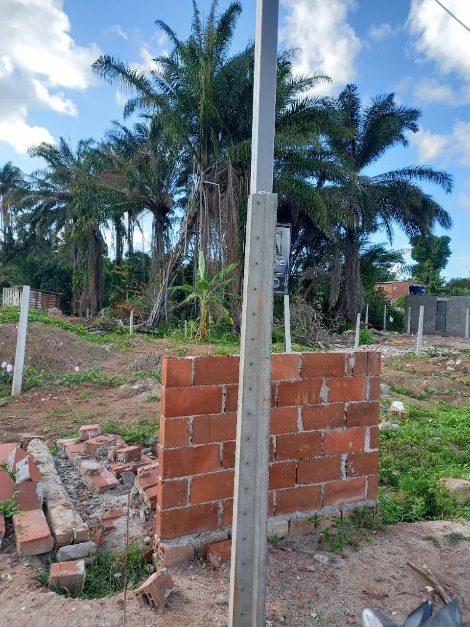 Terreno no janga - Foto 2