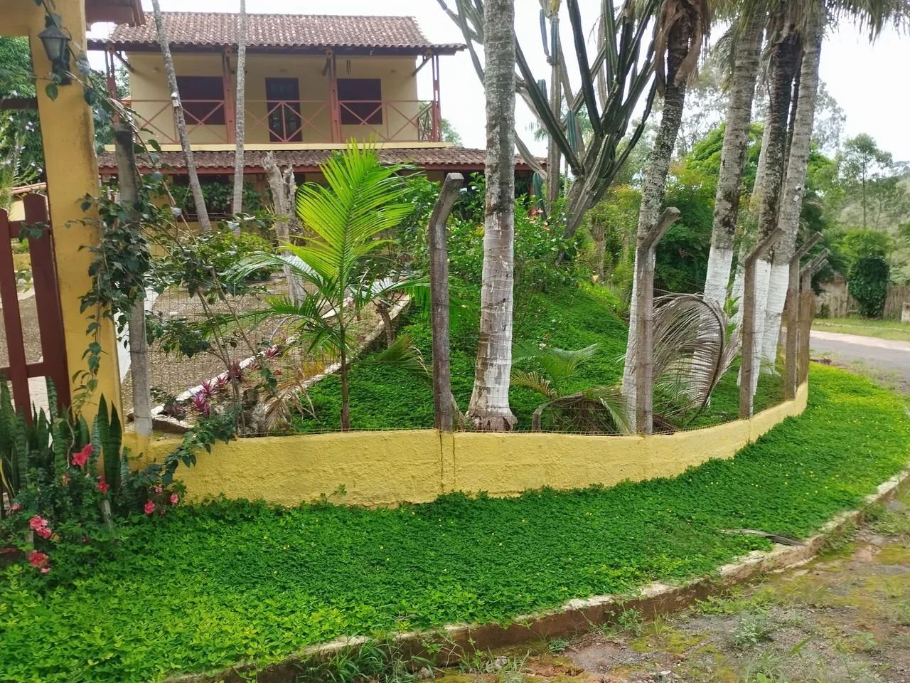 Foto - Juiz de Fora - Previdenciários