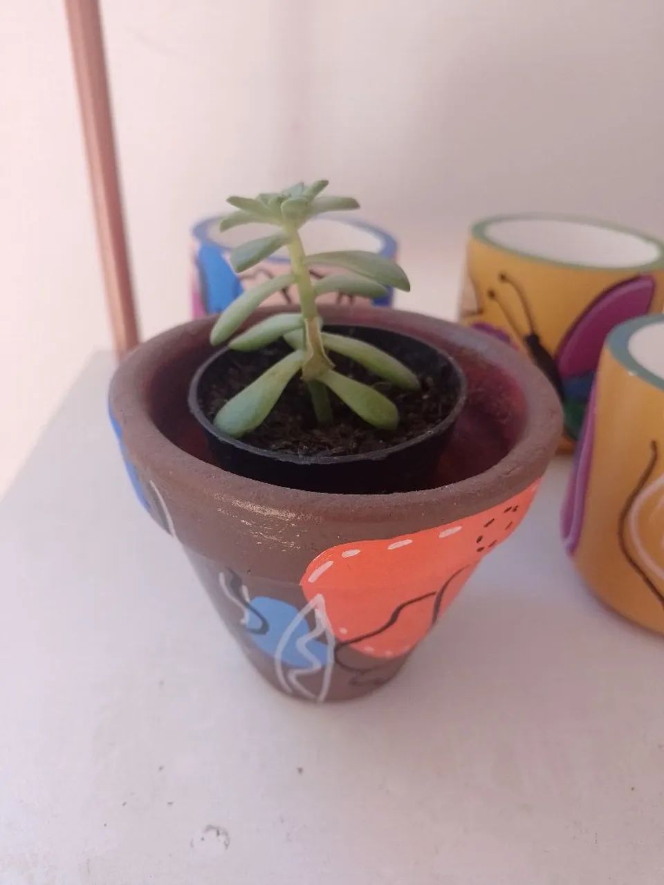 Vaso com suculenta  - Foto 4