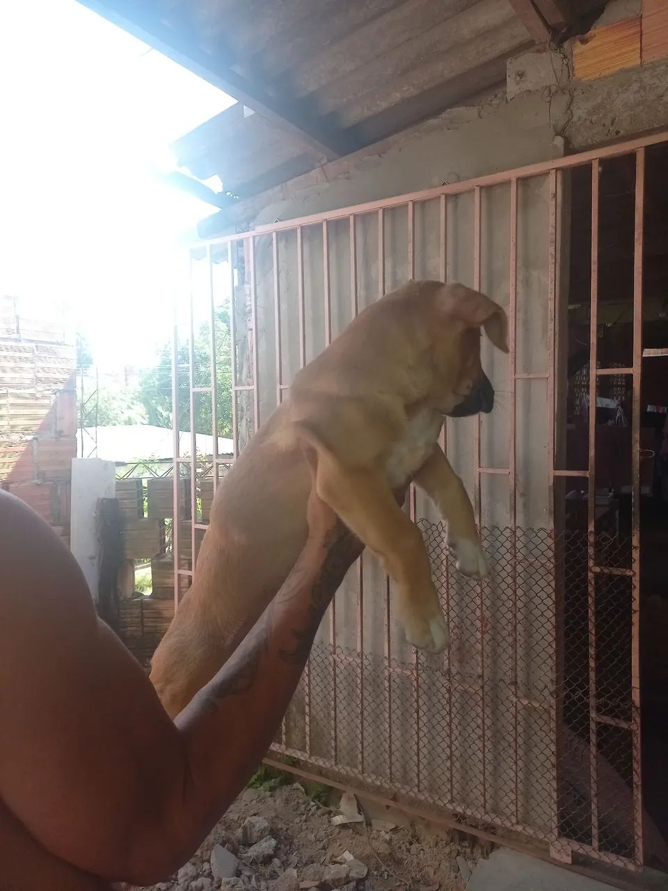 Doação  - Foto 3