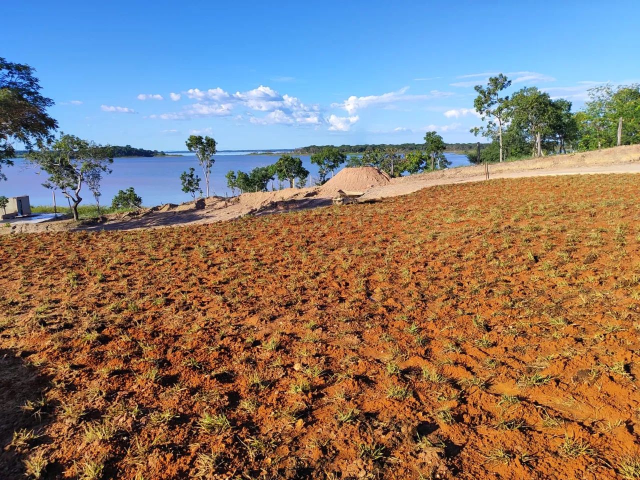 Plantio de Grama Esmeralda, Batatais e Bermuda | Orçamento Gratuito - Foto 2