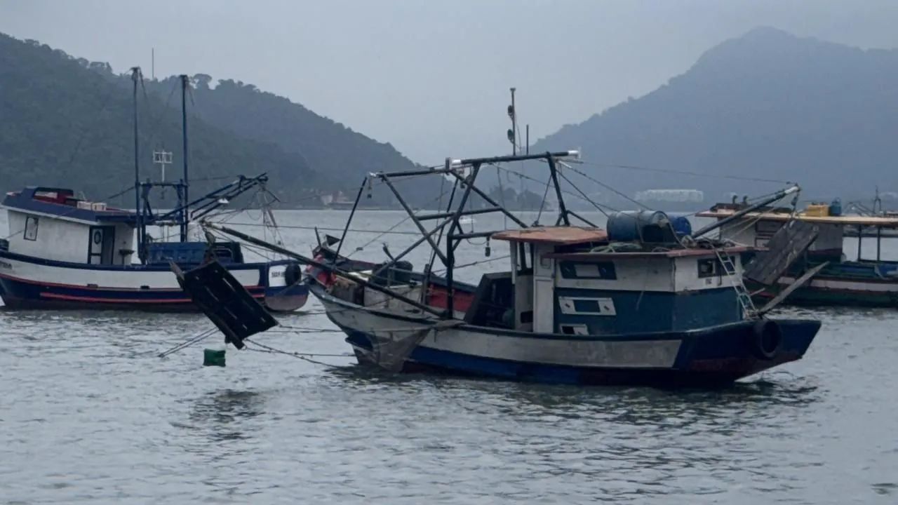 Barco de pescar 