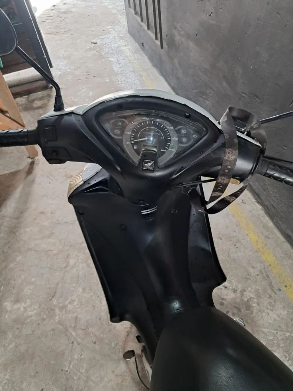 Procedência  - Foto 4